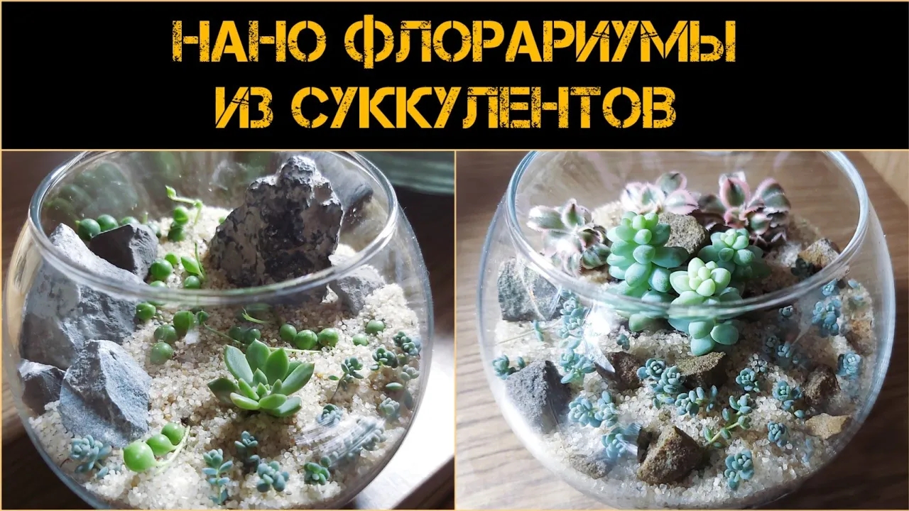 Мастеркласс по созданию нано флорариума