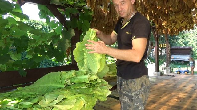 Нанизываем и развешиваем лист смотреть онлайн