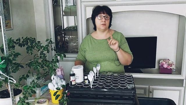 Сею помидоры сухими семенами! Всходы через 3-4 дня!