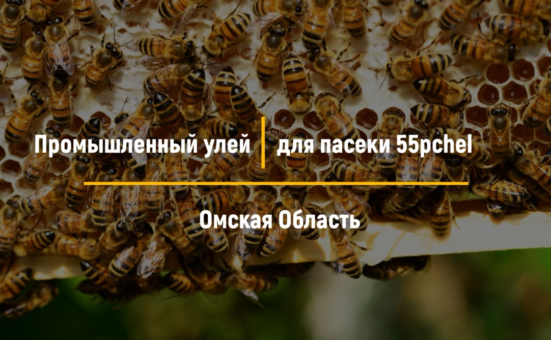 тест кто ты из улей. тест кто ты из улей. кт ты по знаку гзодиавку. игры тесты кто ты. тест кто ты из улей.