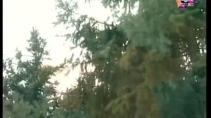 Фануна Сиражетдинова - hеҙҙең өсөн