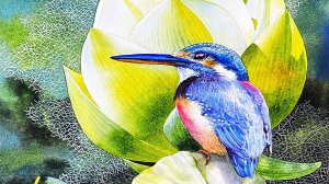 Райские птицы. Акварели художника Kitipong Maksin.