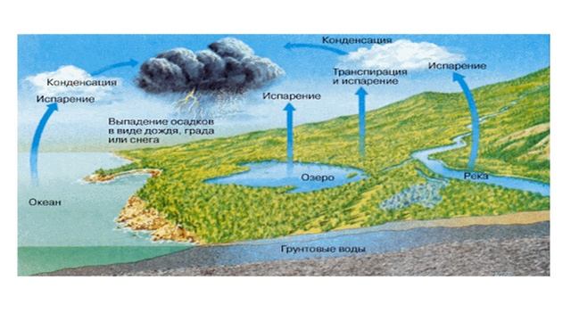 Круговорот воды в природе смотреть онлайн