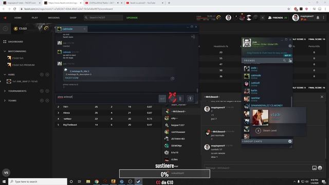 faceit cu pisica!!! смотреть онлайн