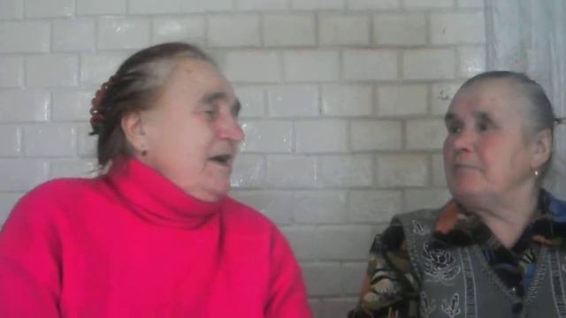 Васильки, васильки