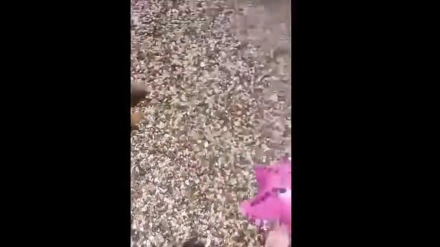 ОТКРЫТИЕ СЕЗОНА 2022