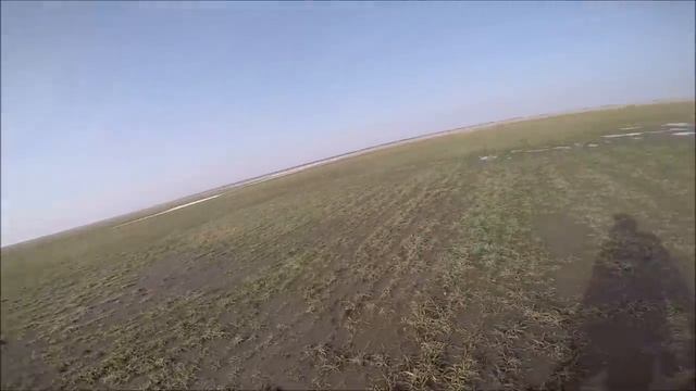 УШАМИ ДЯДИ СЕМЫ НАШЛИ ТЫСЯЧИ ГУСЕЙ НА ОЗИМОМ ПОЛЕ! Весенняя охота 2021