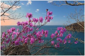 Самое Лучшее Поздравления С Днем Рождения