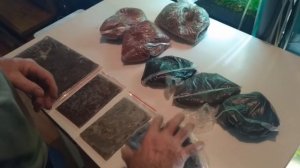 Как и чем кормить аквариумных рыбок?