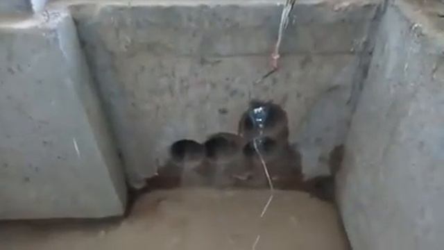 Diamond Core Cutting, Hilti DD 250E смотреть онлайн