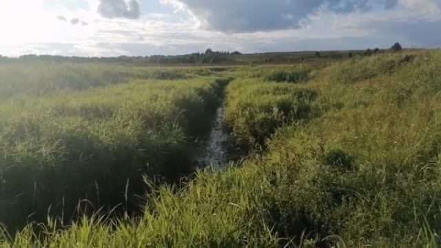 Прогулка по Москве реке☺️ Подмосковье 2021 смотреть онлайн