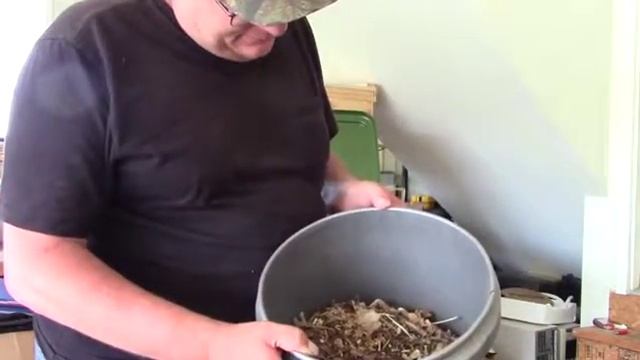 Worm bin part 2 смотреть онлайн