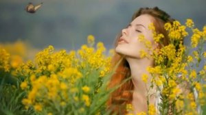 Счастье любит тишину Автор и исполнитель Наталья Влади слова Дмитрий Лик Автор в.mp4