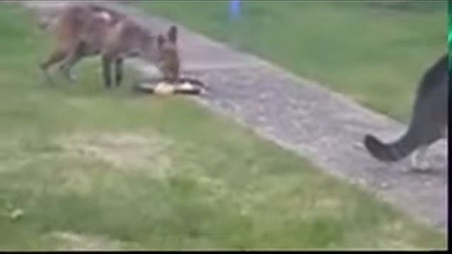 Я хочу есть смотреть онлайн