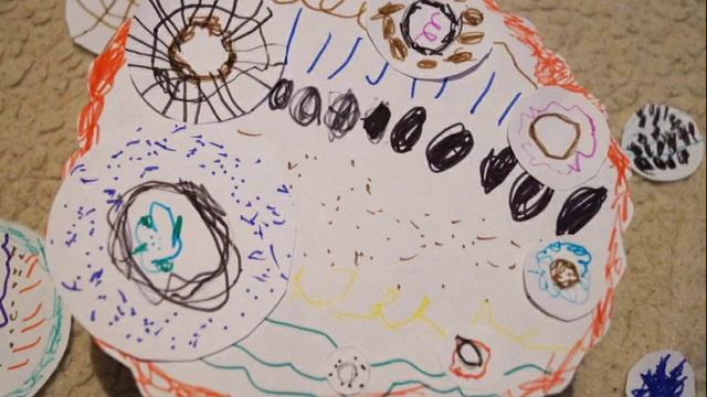 Матрешкины игры / игры для детей с матрёшками / деревянные игрушки для детей смотреть онлайн