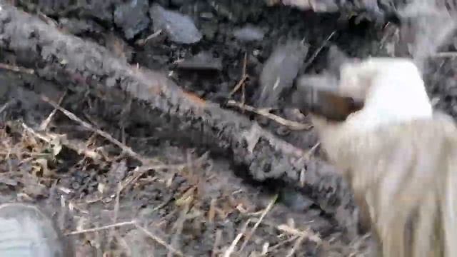 Коп Металлолом, Нашел огромную Находку но забрать не смог