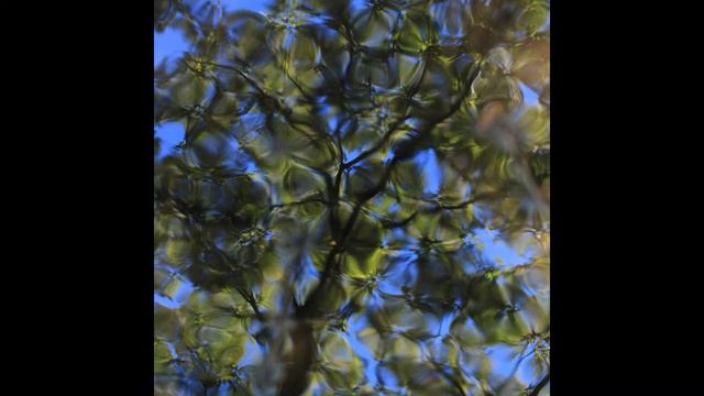 【microKORG XL＋ & monotron DELAY】　With My KORG смотреть онлайн