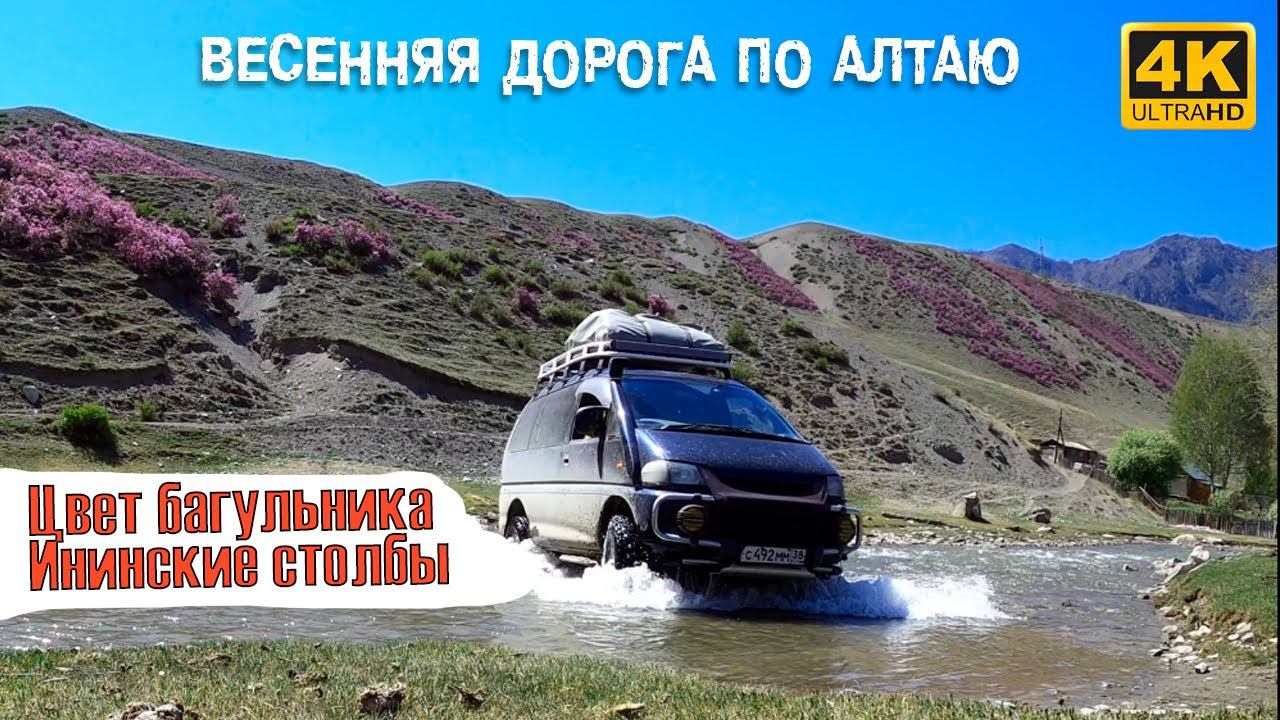 Весенняя дорога по Алтаю. Цвет маральника. Ининские столбы. Дронозарисовка | Cinematic Travel Video