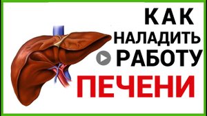 КАК НАЛАДИТЬ РАБОТУ ПЕЧЕНИ.mp4