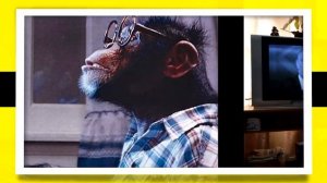 ЛЕОМАКС -  УЖАСНЫЙ ТЕЛЕМАГАЗИН