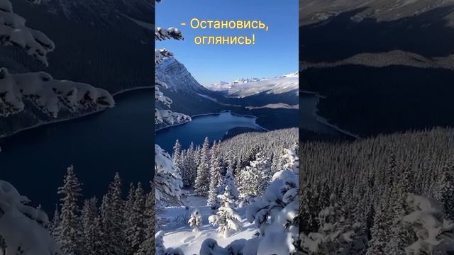 Иду к душе. #пробуждение #любовь #жизньвпотоке #настроениедня #позитив