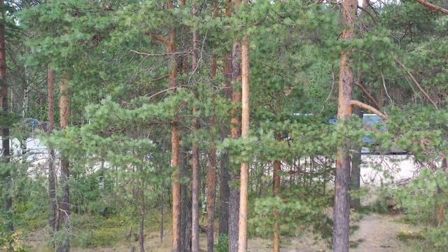 Выборг / Выборгский замок / Vyborg Castle смотреть онлайн