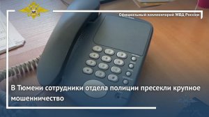 Ирина Волк: В Тюмени сотрудники отдела полиции пресекли крупное мошенничество