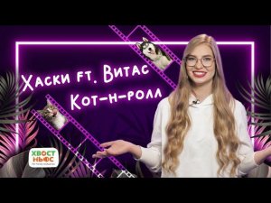 Коты-рокеры, белка-актриса, собаки в отпуске и другие видео «Хвост Ньюс» #74