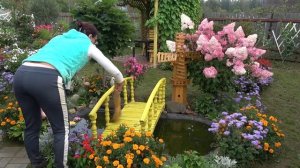 6 соток 9 сентября 2023 года. Хроника.