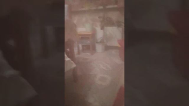 мне пришлось сделать укол болезнь самая сильная не могу сниматься я ухожу из Ютуба смотреть онлайн