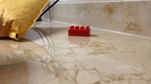 Angry Birds Toons Remastered: Pig Talent