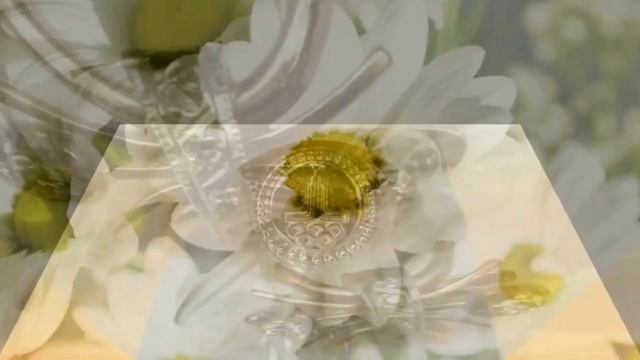 Какие украшения носили в СССР.ПОПУЛЯРНЫЕ ЗОЛОТЫЕ УКРАШЕНИЯ ИЗ СССР.