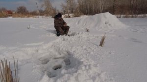 Рыбалка в садах. Ловля окуня