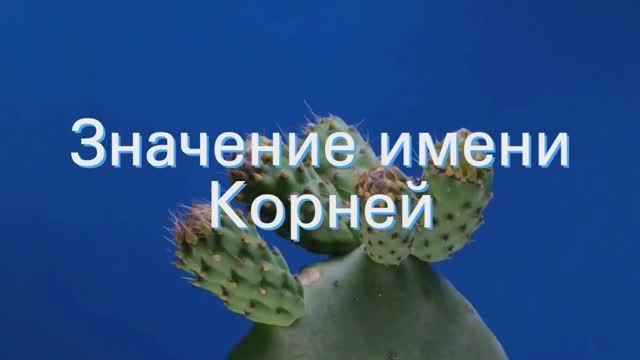 Значение имени Корней. Толкование, судьба, характер смотреть онлайн