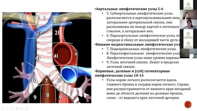 Карандеева. "Особенности диагностической визуализации лимфатических узлов средостения"