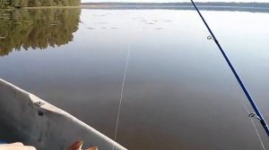 Озеро Вишневское, поймал щуку