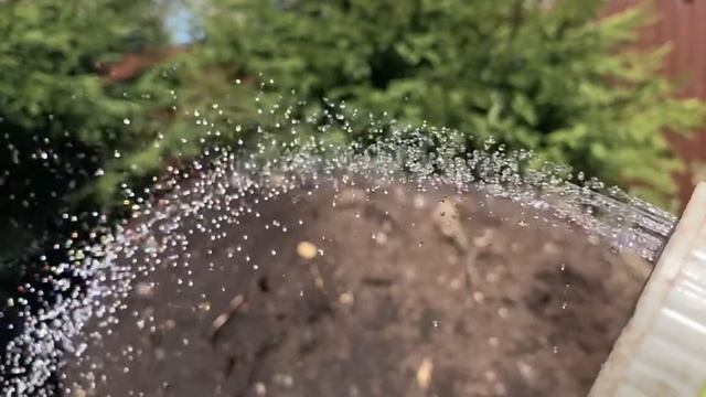 Съёмка камерой iPhone XR смотреть онлайн