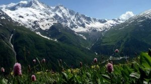 Стихотворения в прозе Тургенев Разговор