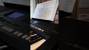 Yamaha PSR S650 ("Fürstenfeld" - STS) Instrumental langsame Version
