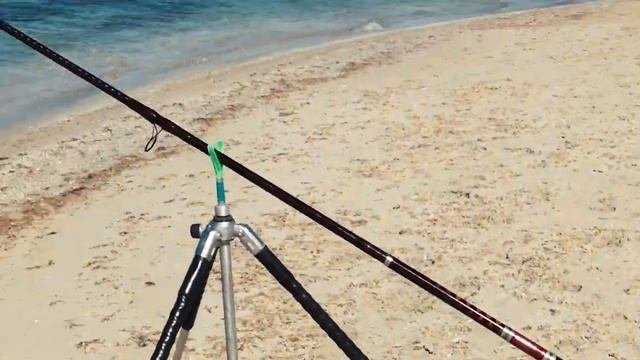 Солнце,лето,море и , конечно, рыбалка,на которой клюет только тарашка!