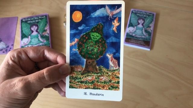 Spirit of the Scent Oracle Deck Unboxing and First Impressions смотреть онлайн