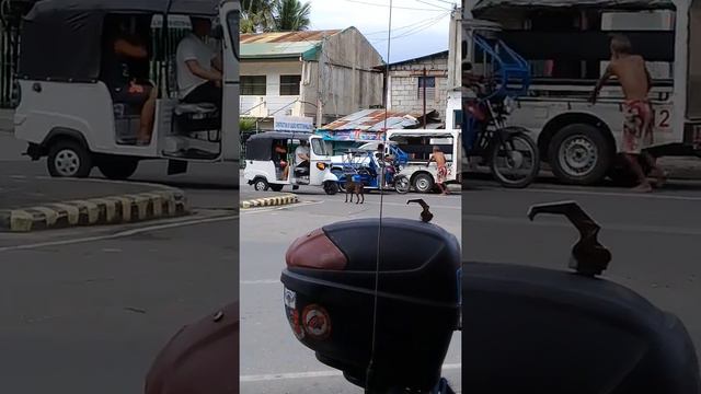 SUNTUKAN SA KALYE, ISA ANG PATAY (Sa pulis haha) |  STREET FIGHTING