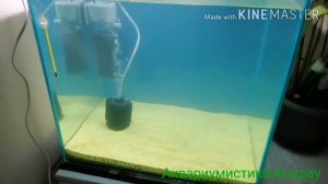 Запуск аквариум 100 л часть 1. (Кубик)