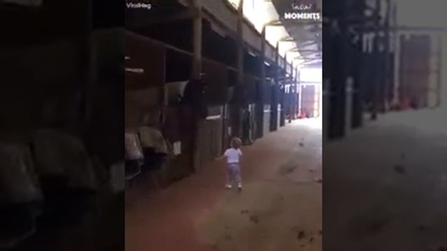 Будь проще, и лошади к тебе потянутся! смотреть онлайн