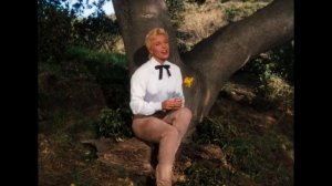 Doris Day - Secret Love (from Calamity Jane) (1953)