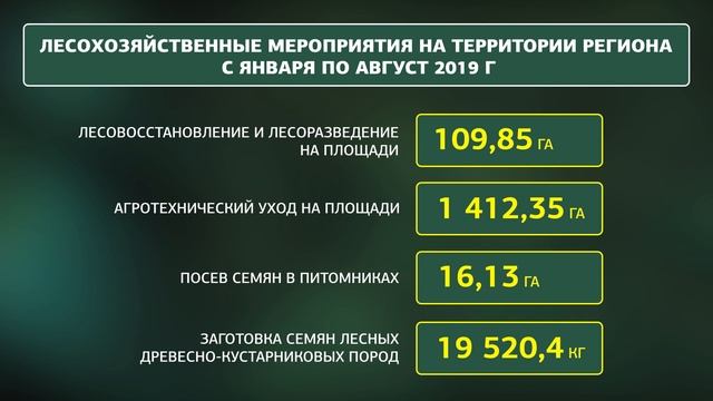 Белгородские леса. Тропами созидания смотреть онлайн