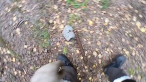 сумасшедшие находки на старой царской дороге