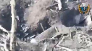 Российские десантники нанесли более 20 ударов дронами по объектам ВСУшнико