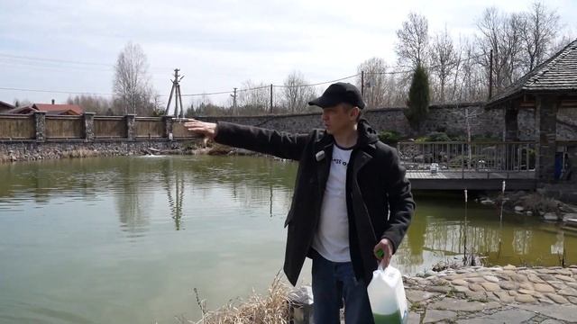 Недорого и просто: Хлорелла для очистки воды в пруду, водоемах
