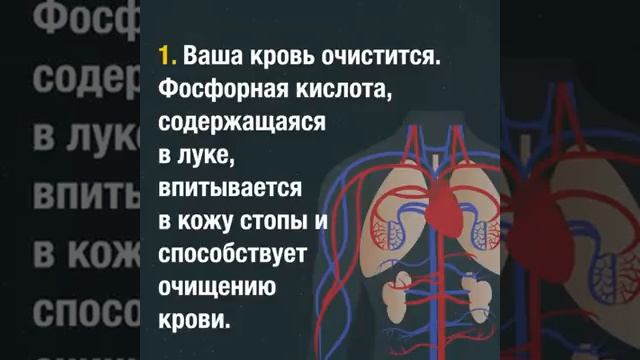 Очищение организма с помощью обычного лука. смотреть онлайн